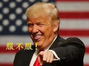 疯子吃瓜,揭秘网络热点的疯狂世界