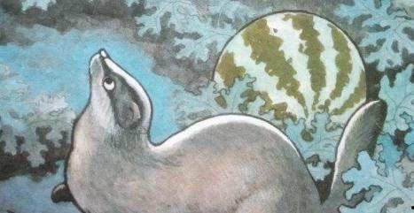 猹吃瓜的吗,揭秘瓜农与猹的奇妙缘分