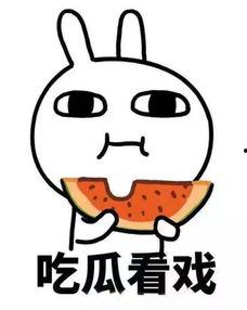 finally吃瓜,跟随“finally”一起品味人生百味