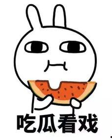 瓜瓜吃瓜教师,揭秘教师圈的那些事儿