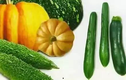 如何对待吃瓜,理性围观，品味生活百态