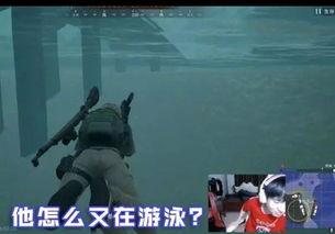 lol小虎吃瓜,揭秘LOL赛场背后的风云变幻