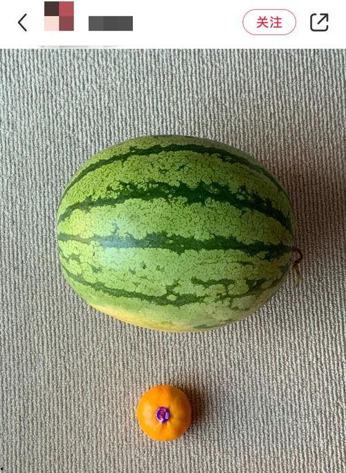 全球吃瓜基地排名