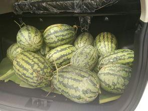 搬板凳前排吃瓜,围观吃瓜现场